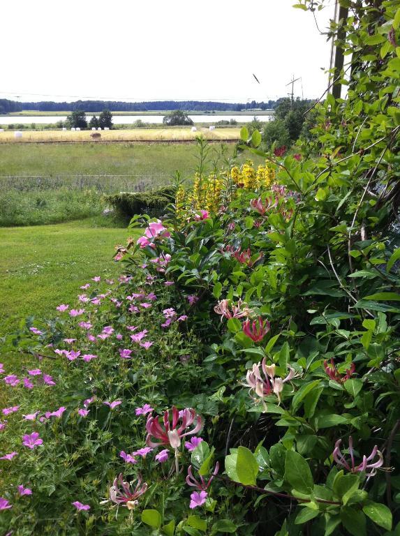 Nya Strandgardens Waerdshus Kristinehamn Exterior foto
