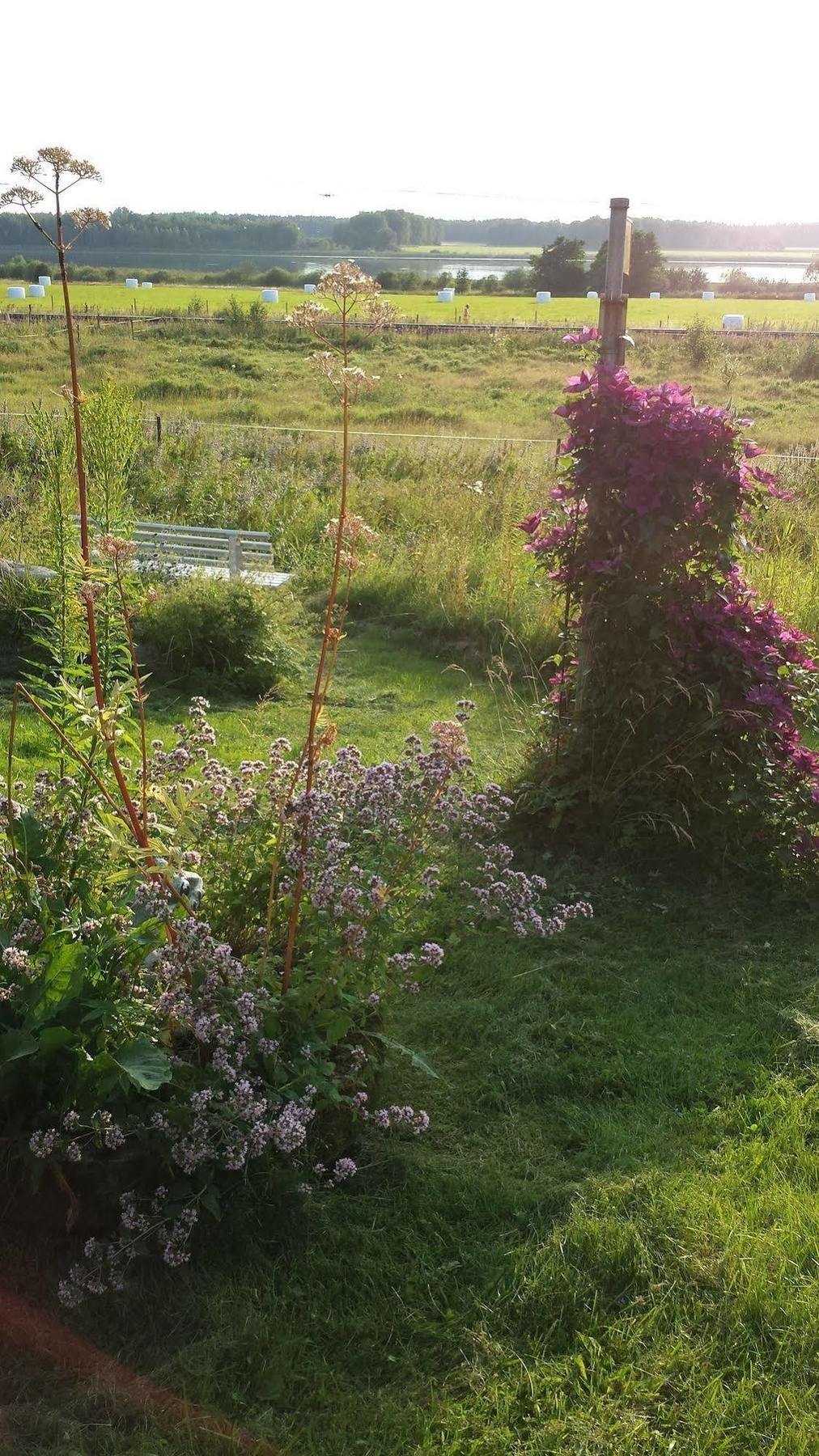 Nya Strandgardens Waerdshus Kristinehamn Exterior foto