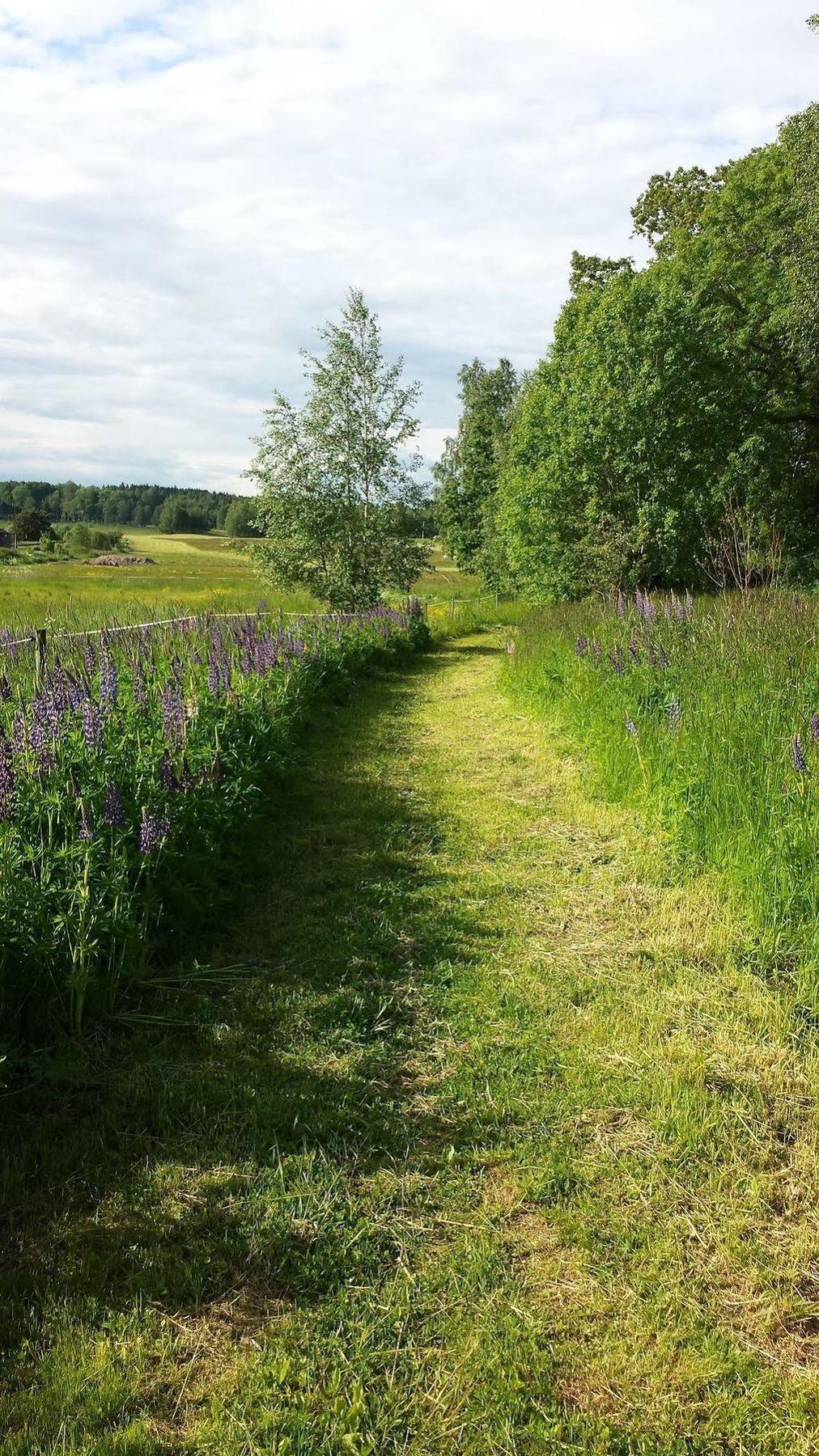 Nya Strandgardens Waerdshus Kristinehamn Exterior foto